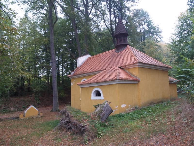 Náhled