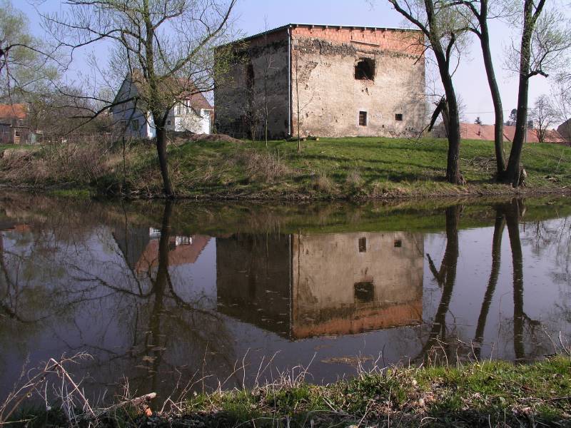 Náhled