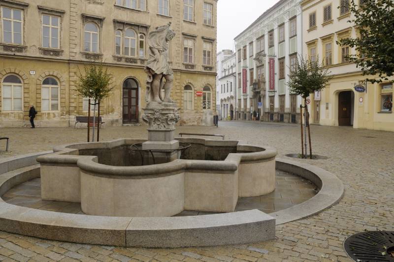 Náhled