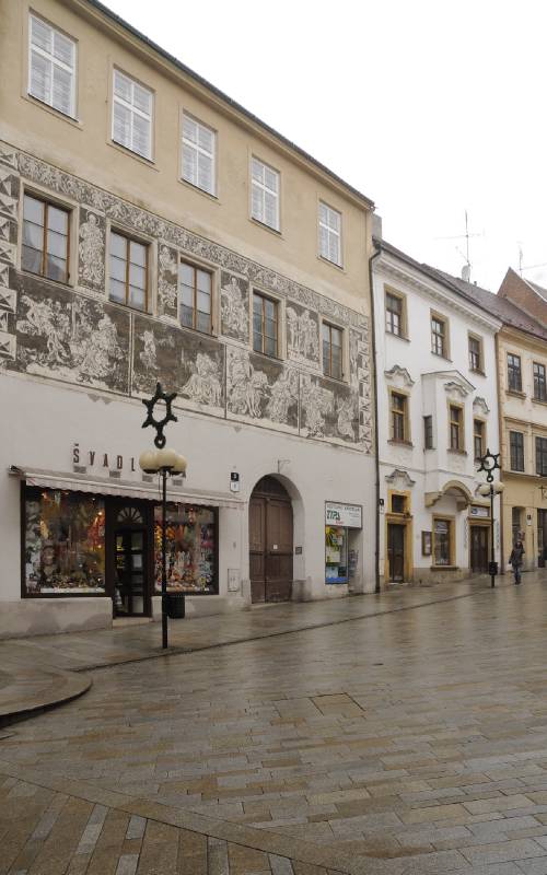Náhled