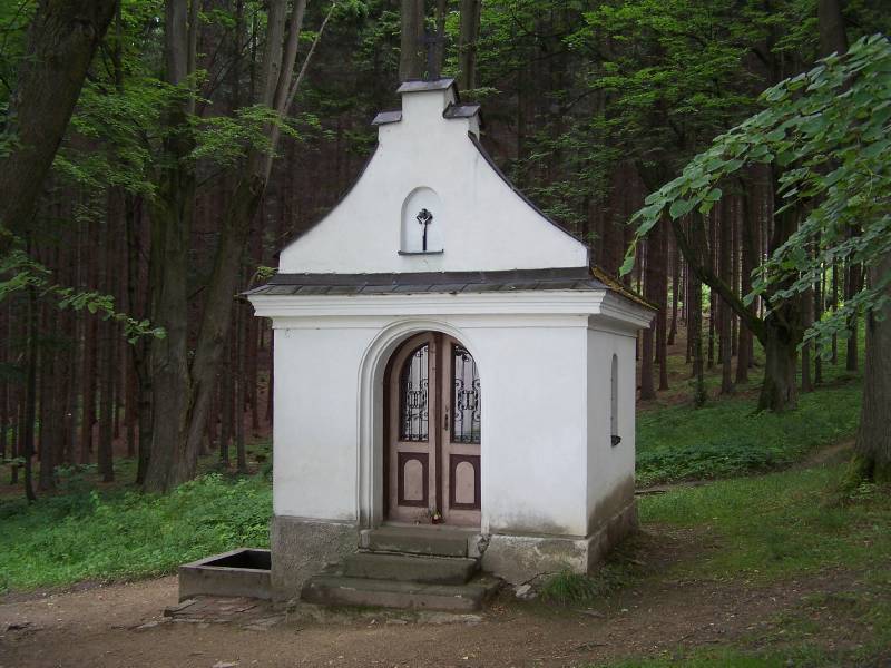 Náhled