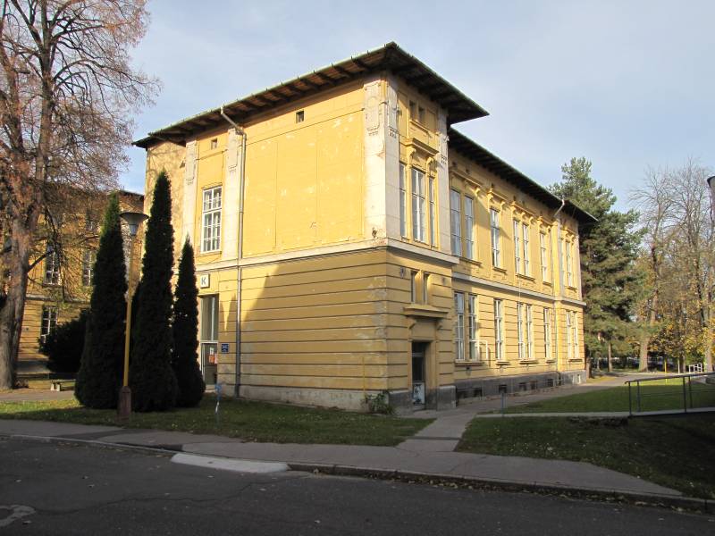 Náhled
