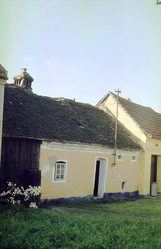 Náhled