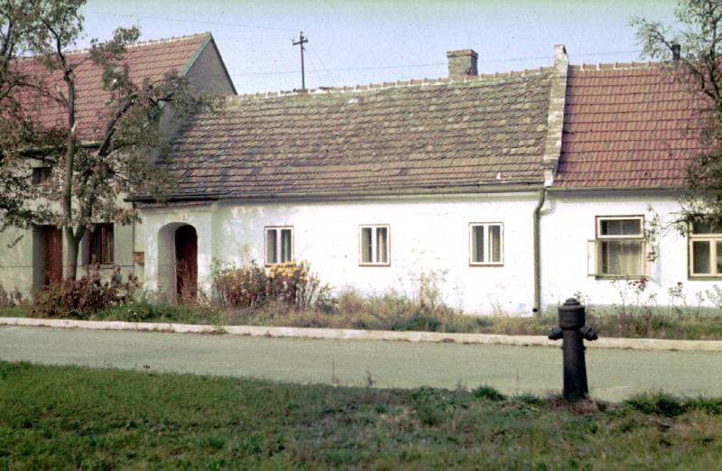 Náhled