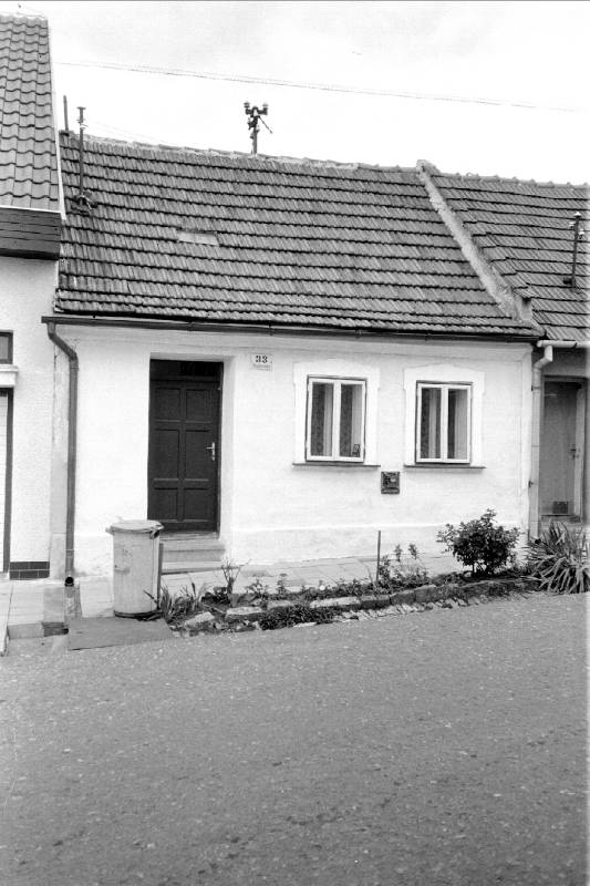 Náhled