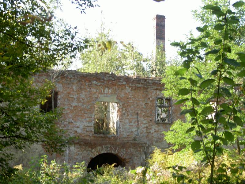 Náhled