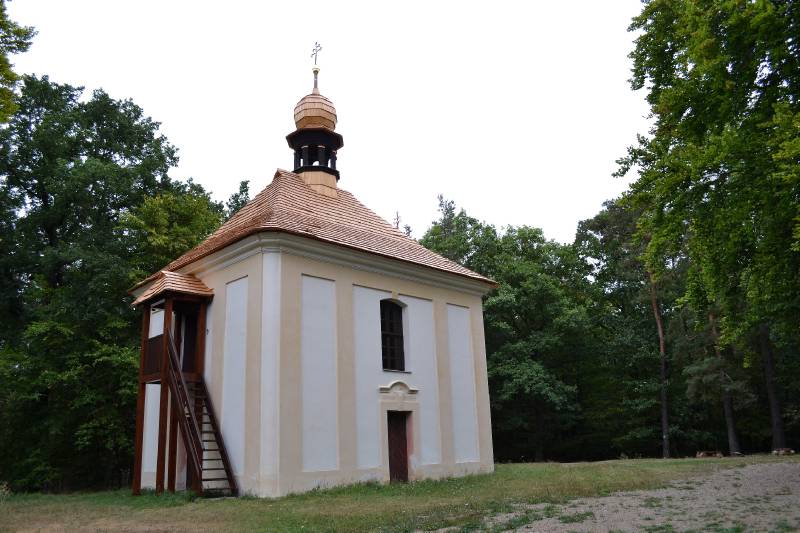 Náhled
