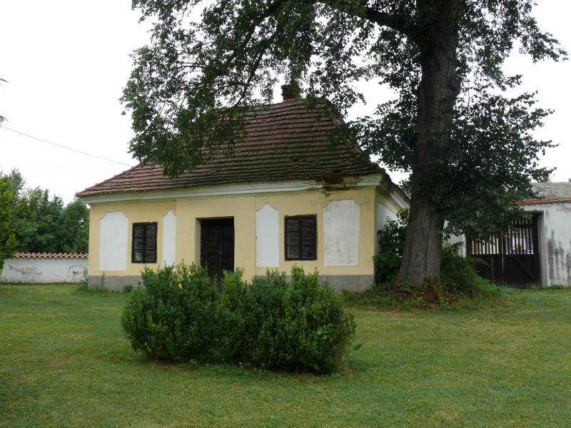Náhled