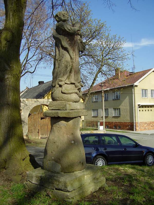 Náhled