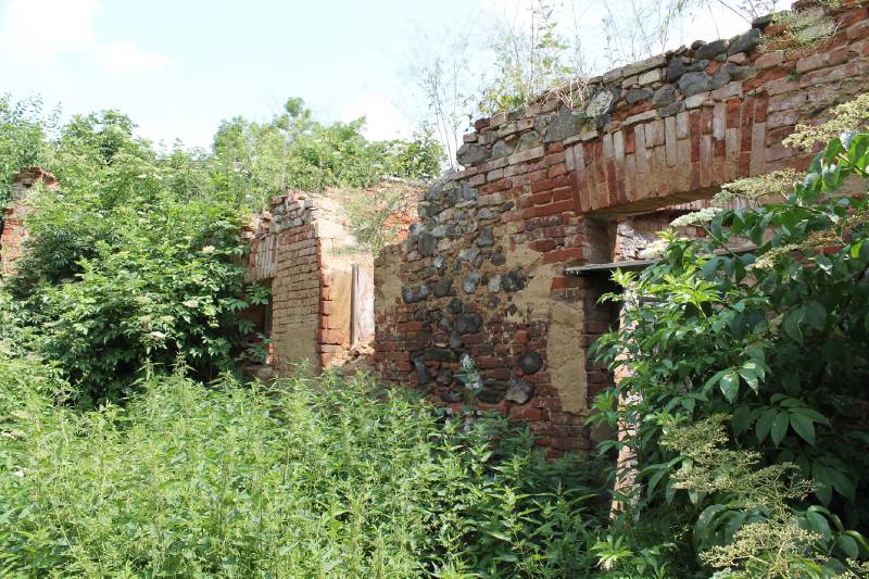 Náhled
