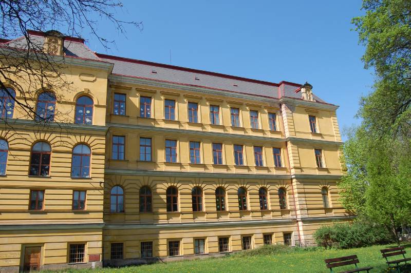 Náhled