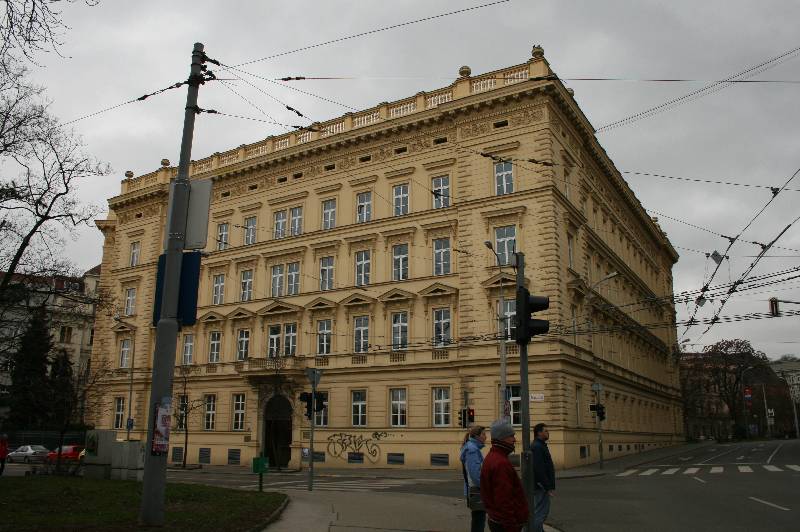 Náhled