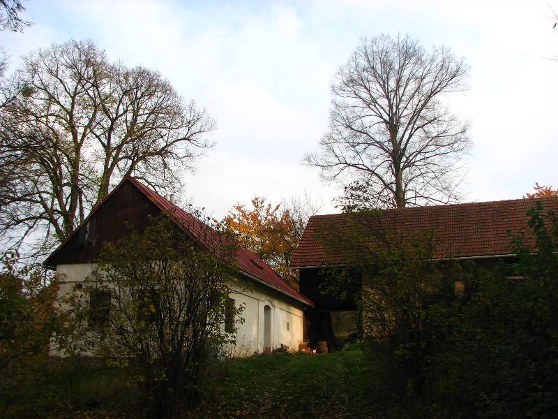 Náhled