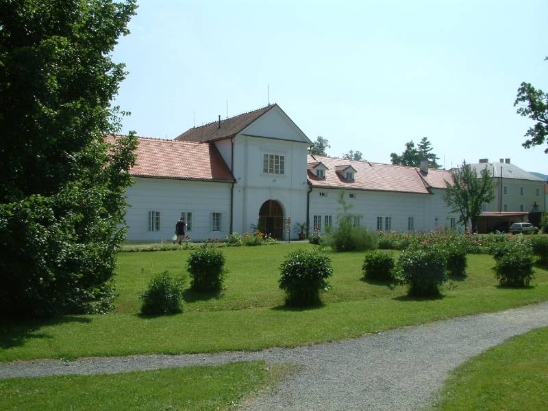 Náhled