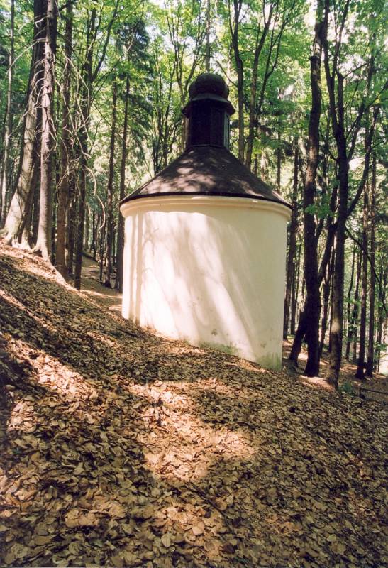 Náhled