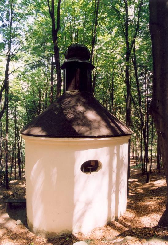 Náhled