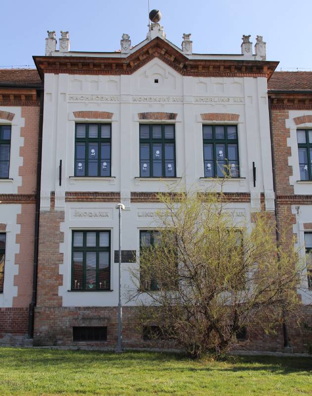 Náhled