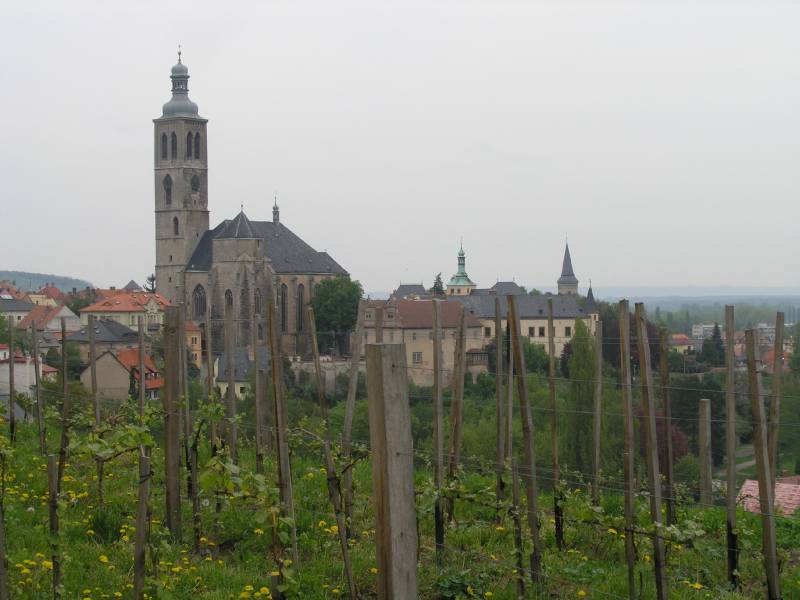 Náhled