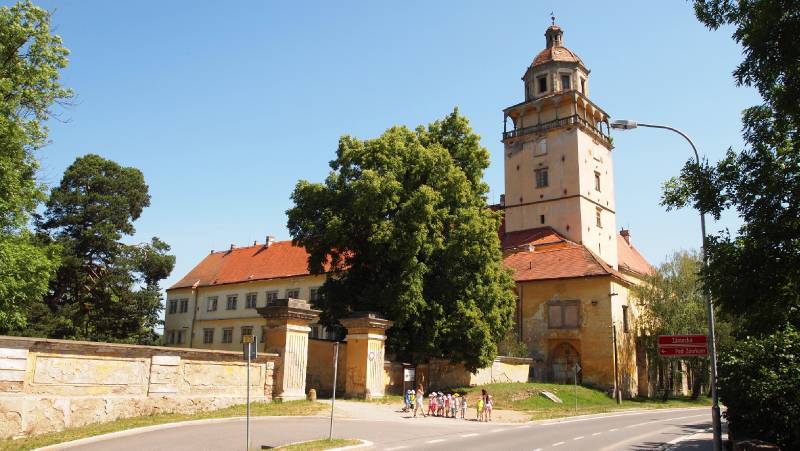 Náhled
