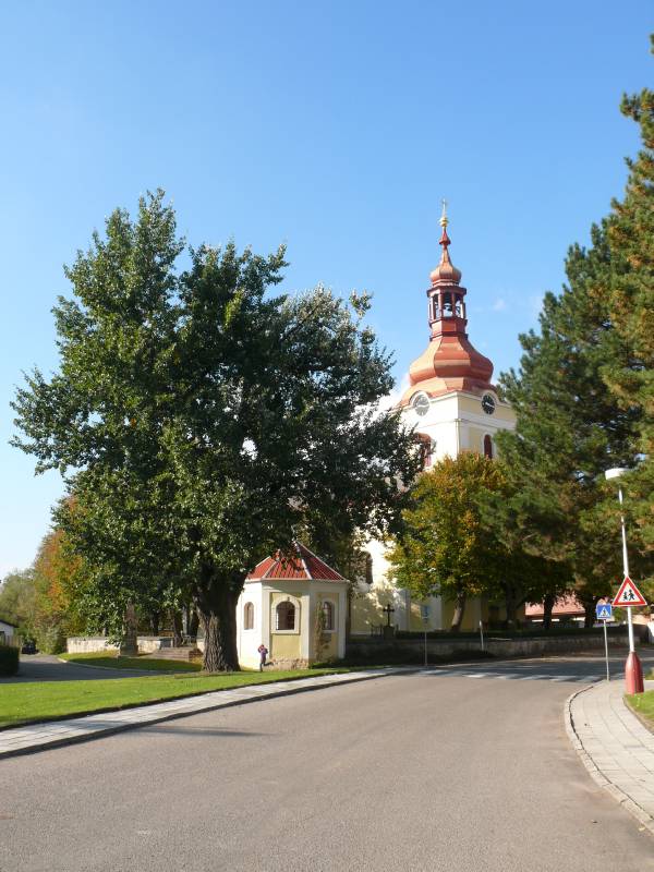 Náhled