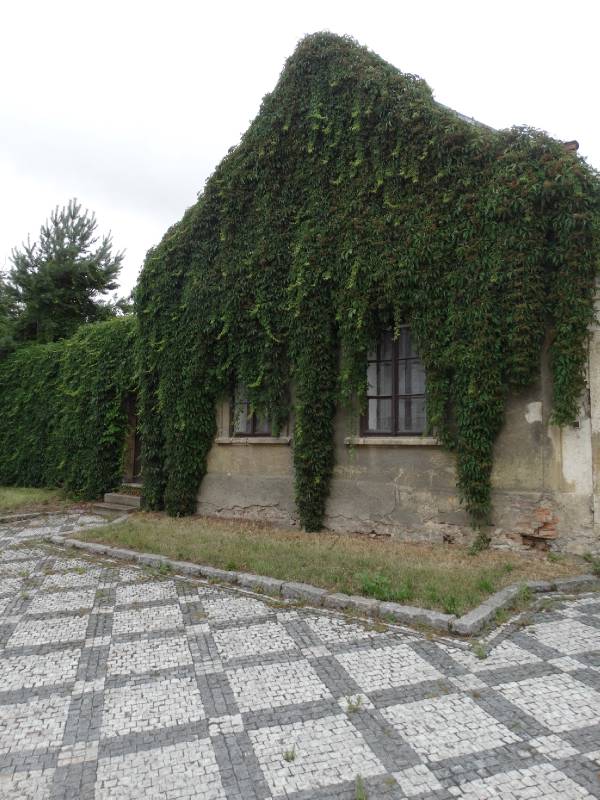 Náhled