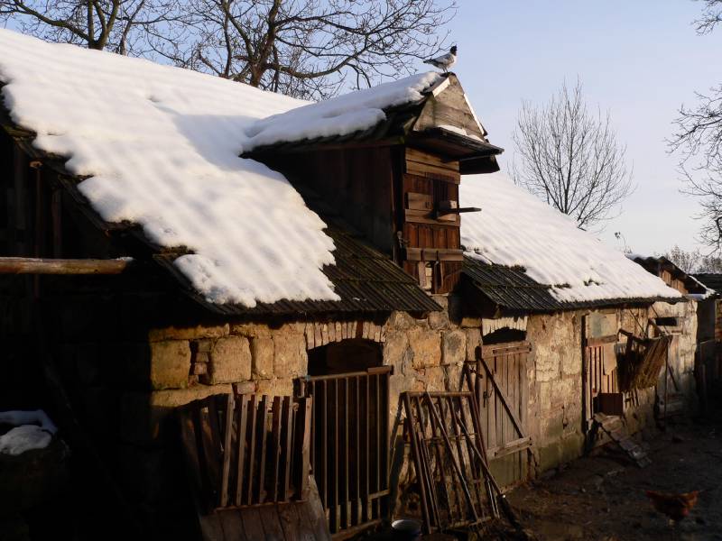 Náhled