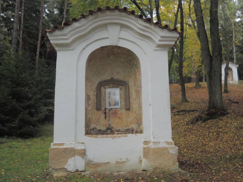 Náhled