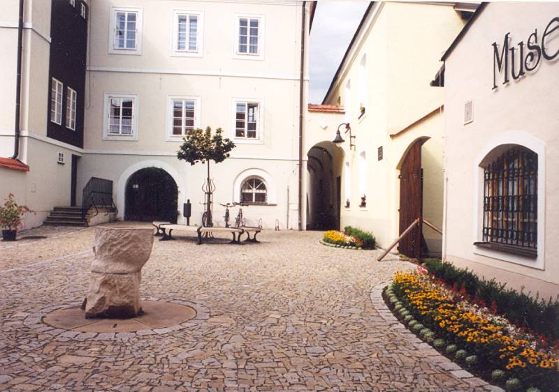 Náhled