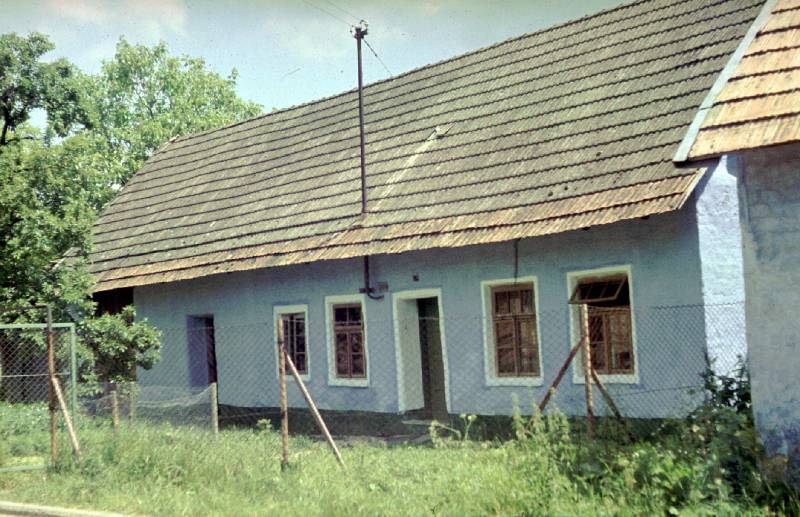 Náhled