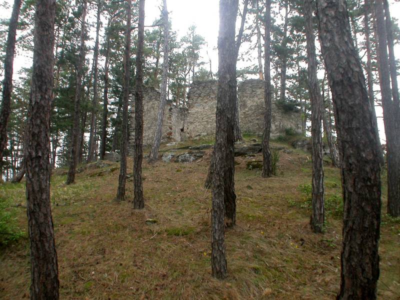 Náhled