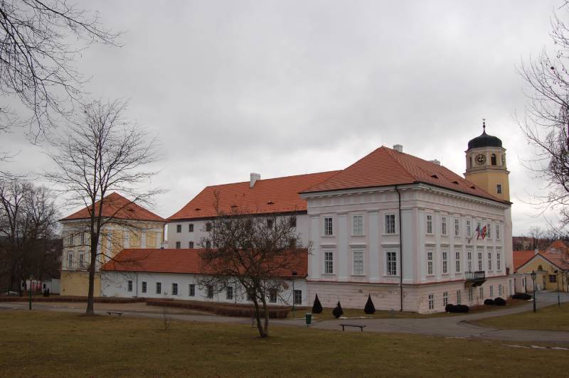 Náhled