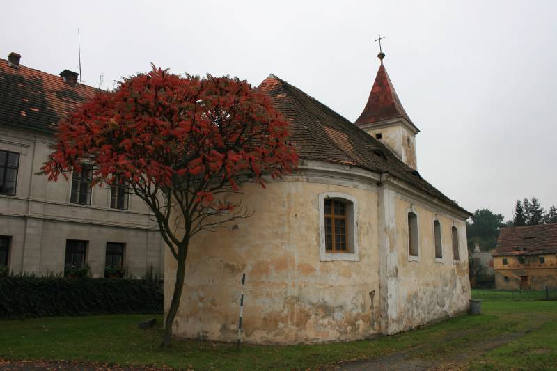 Náhled