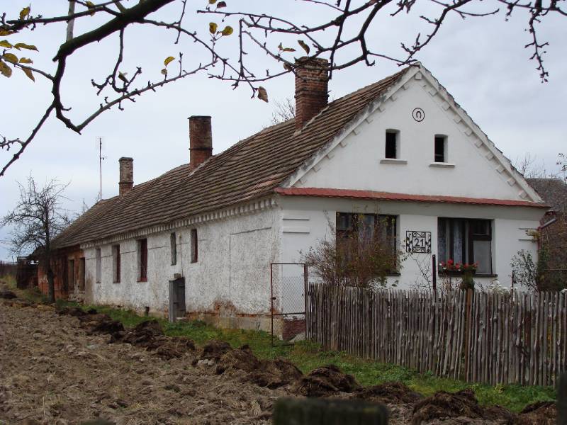 Náhled