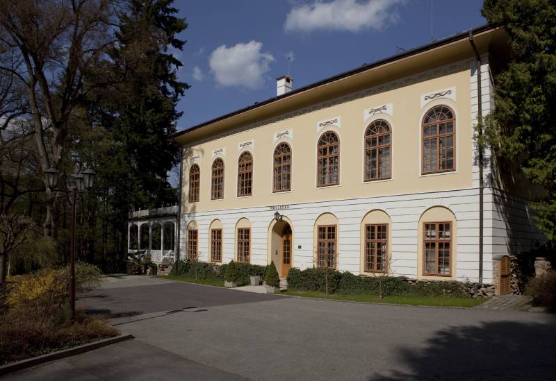 Náhled