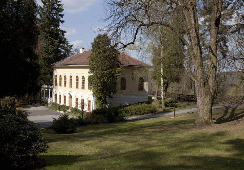 Náhled