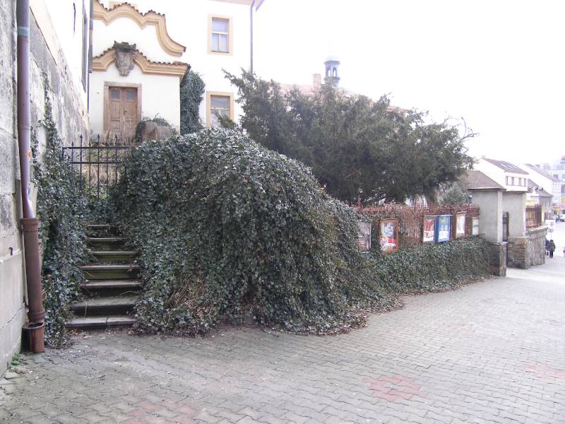 Náhled