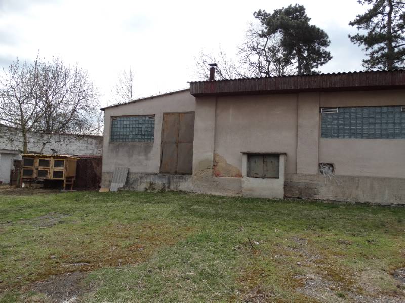 Náhled