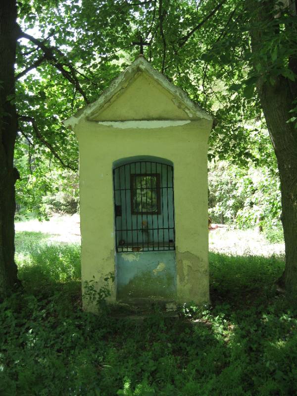 Náhled