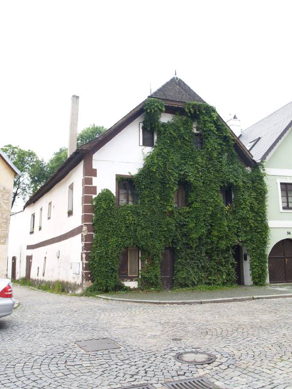 Náhled