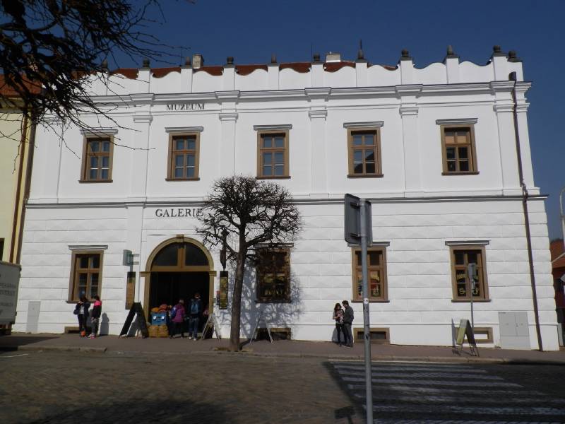 Náhled