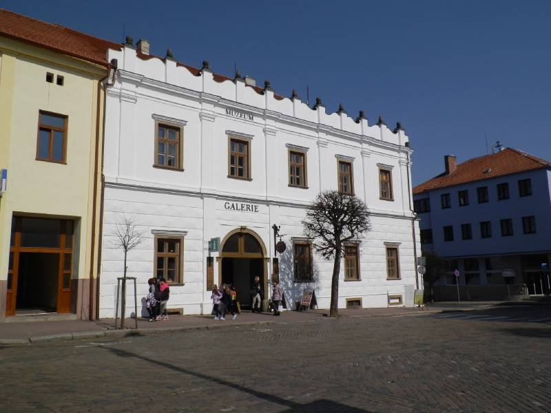 Náhled