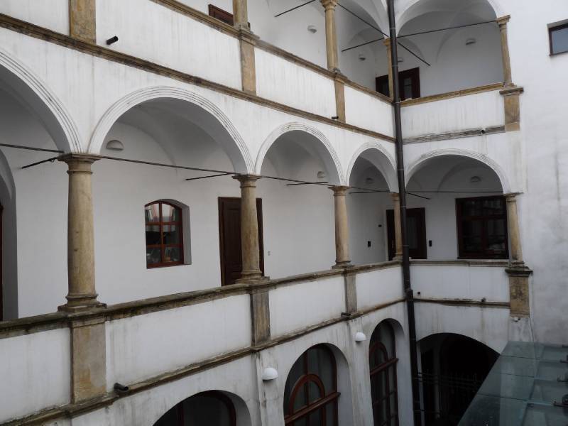 Náhled