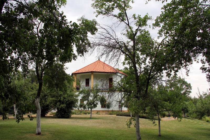 Náhled