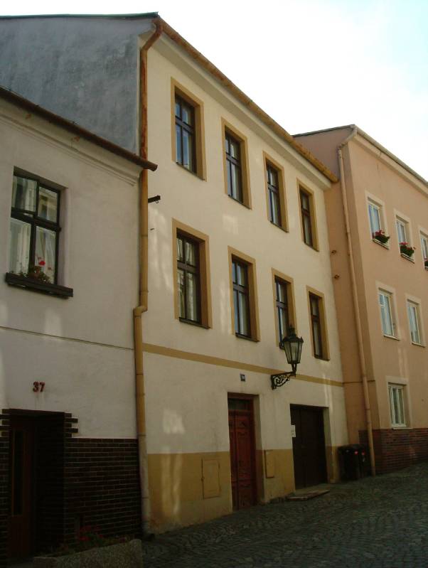 Náhled