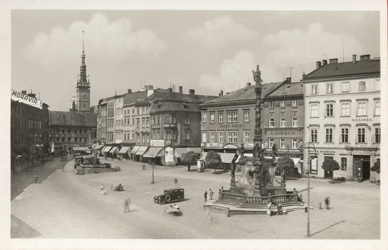 Náhled