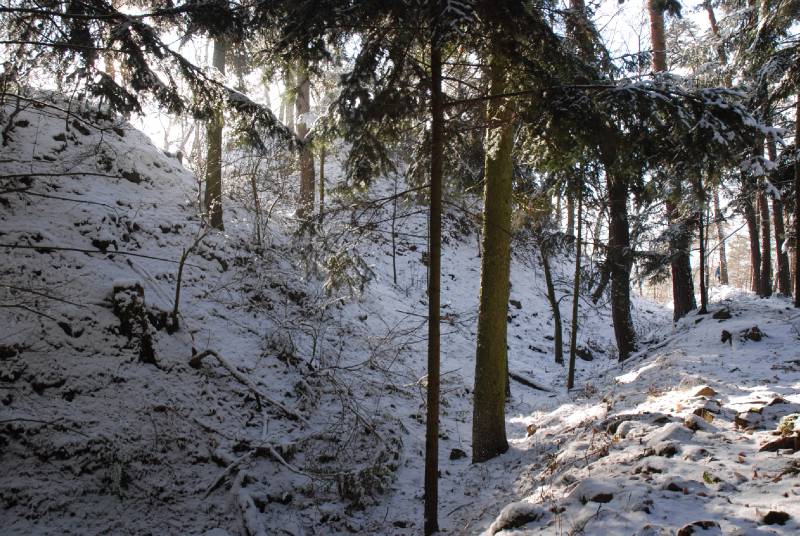 Náhled