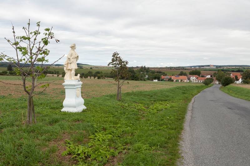 Náhled
