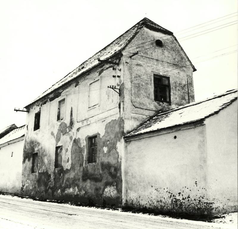 Náhled