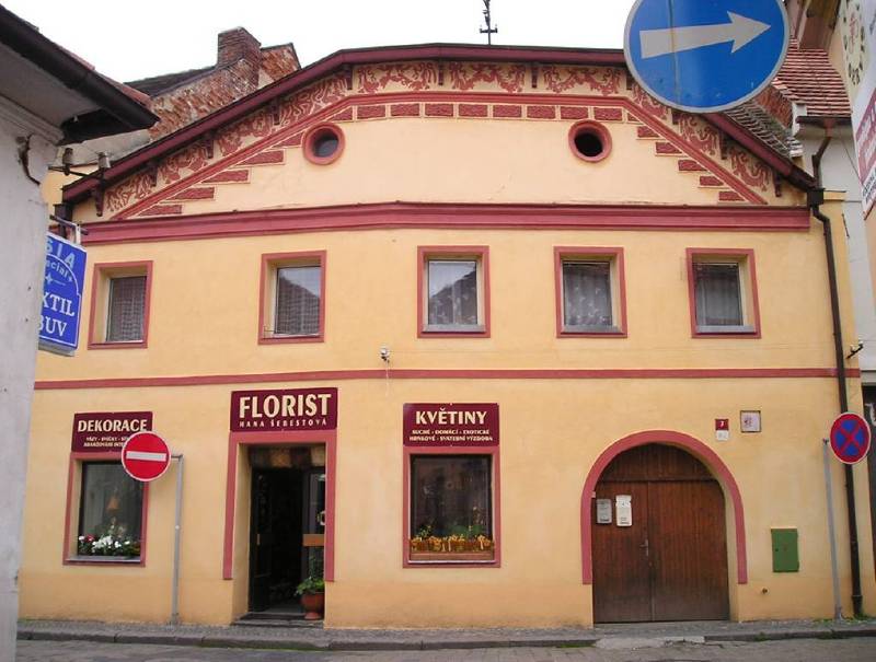 Náhled