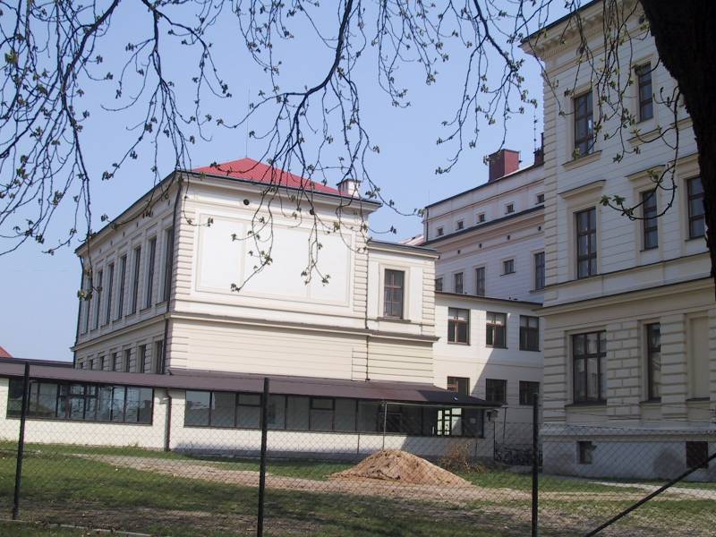 Náhled